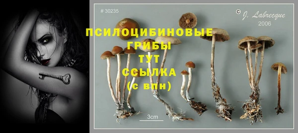 гашик Алексин