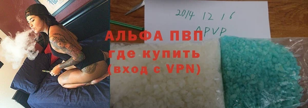 гашик Алексин
