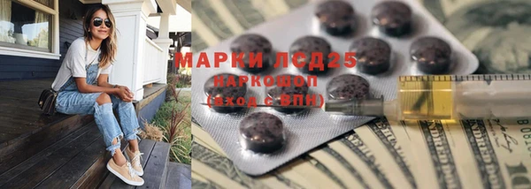 гашик Алексин