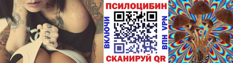 Галлюциногенные грибы мицелий  Курчатов 